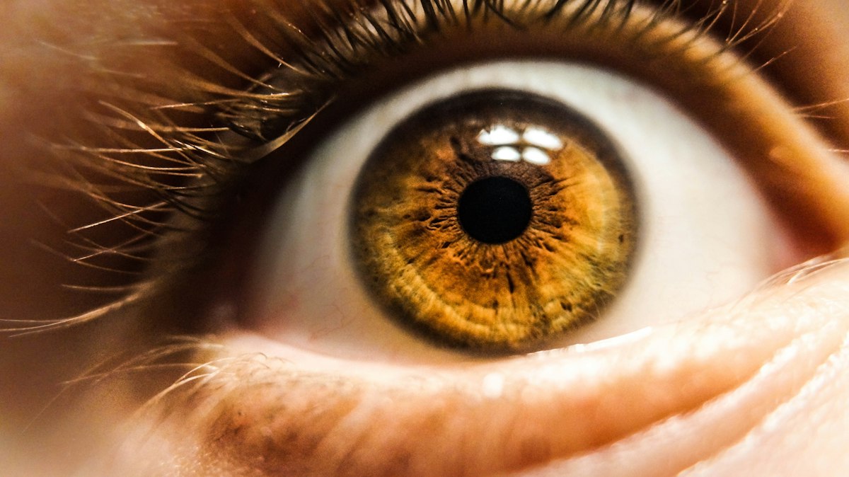 Eye health and vision wellness